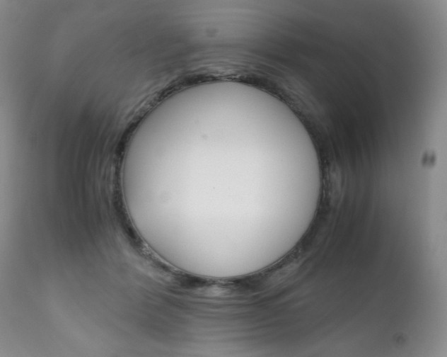 X0000111120412200906301046