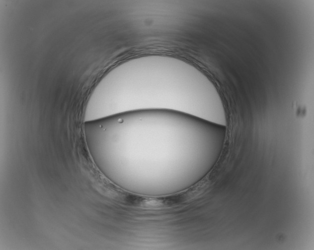X0000111120413200906301046