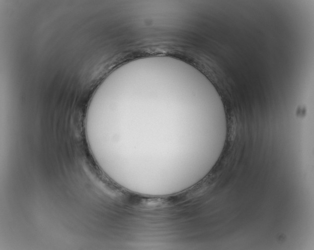 X0000111120414200906301046