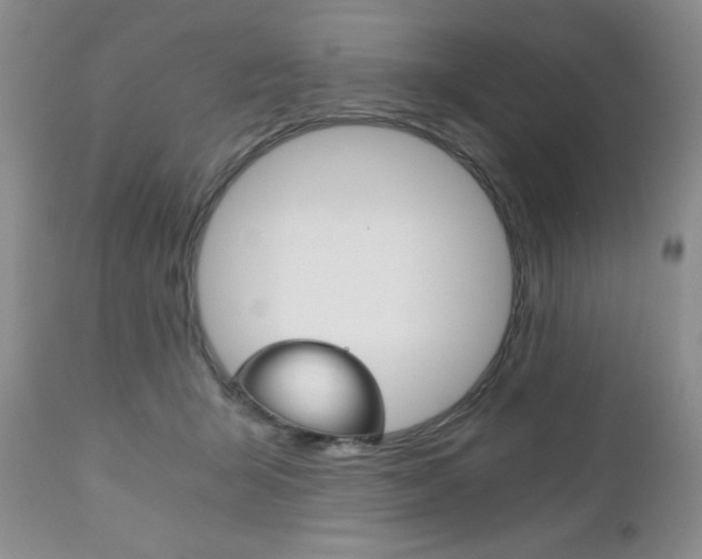 X0000111120415200906301046