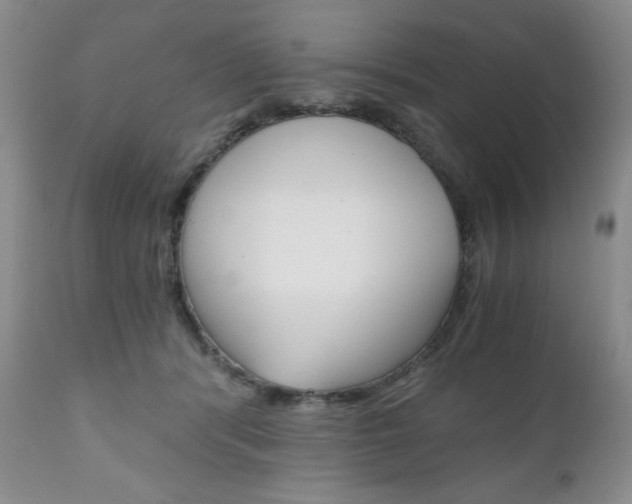 X0000111120416200906301046