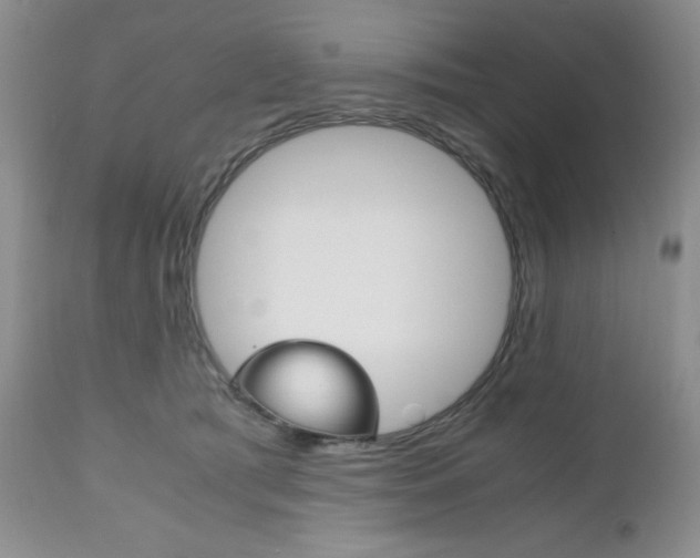 X0000111120417200906301046