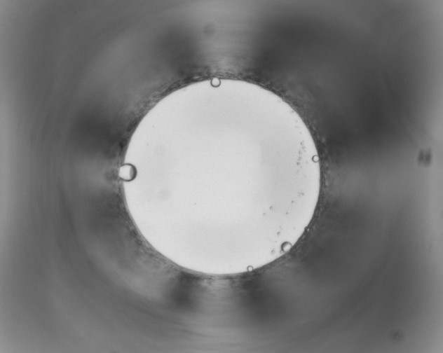 X0000111120419200906301046