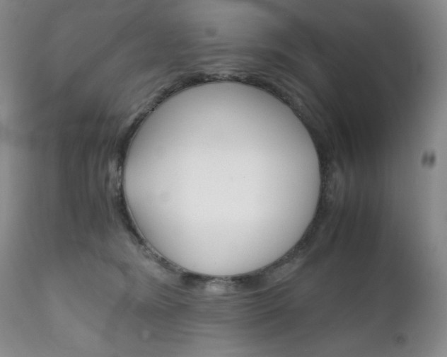 X0000111120420200906301046