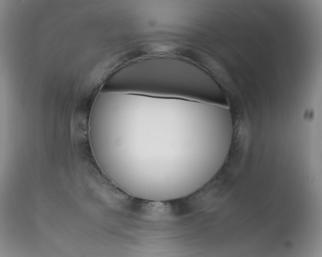X0000111120421200906301046