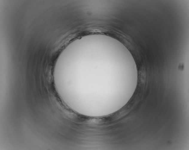 X0000111120422200906301046