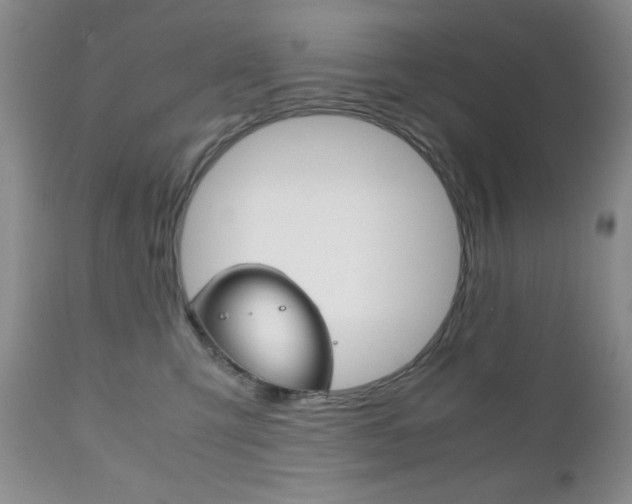 X0000111120423200906301046