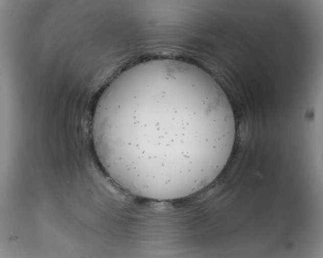X0000111120424200906301046