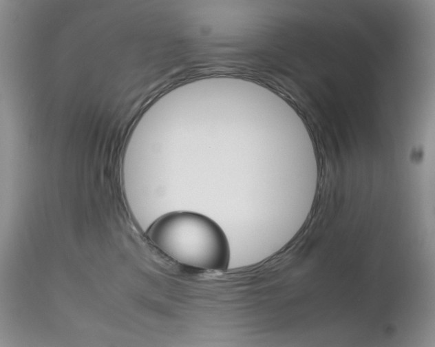 X0000111120425200906301046