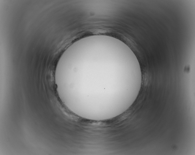 X0000111120426200906301046