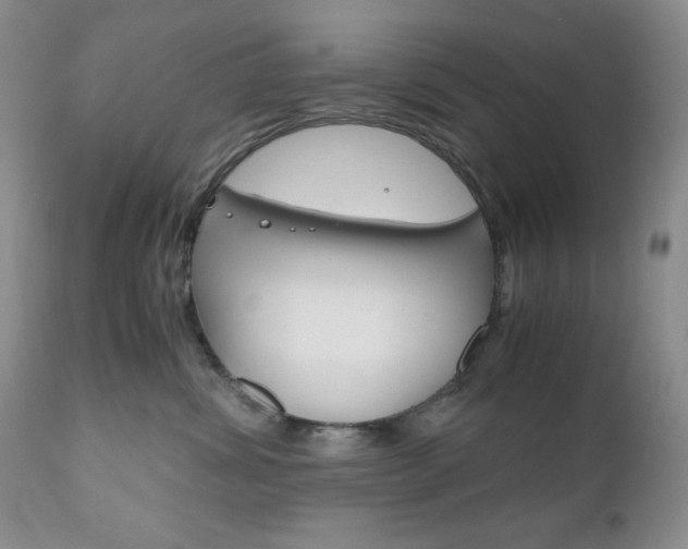 X0000111120428200906301046