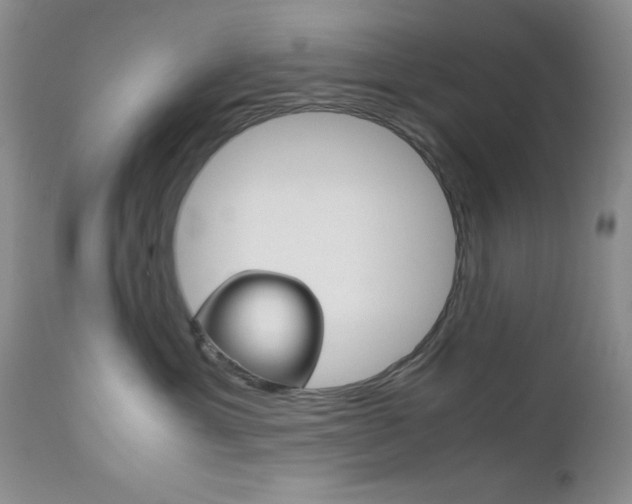 X0000111120429200906301046