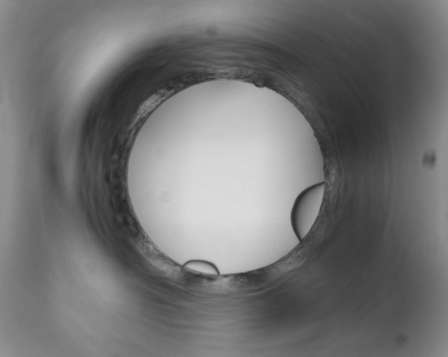 X0000111120430200906301046
