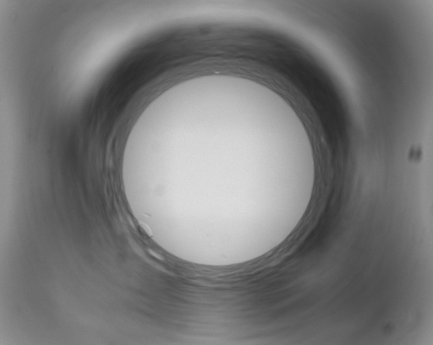 X0000111120431200906301046