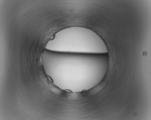X0000111120432200906301045