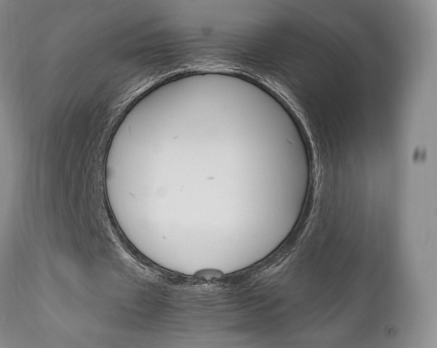 X0000111120433200906301045