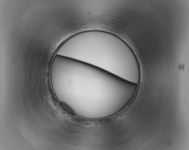 X0000111120434200906301045