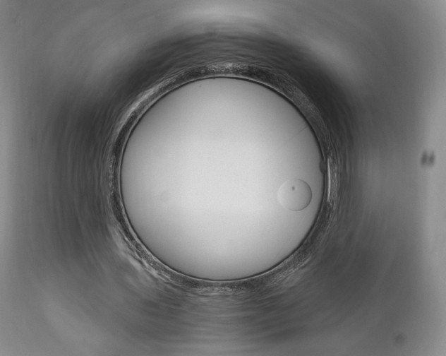 X0000111120435200906301045