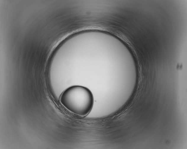 X0000111120436200906301045