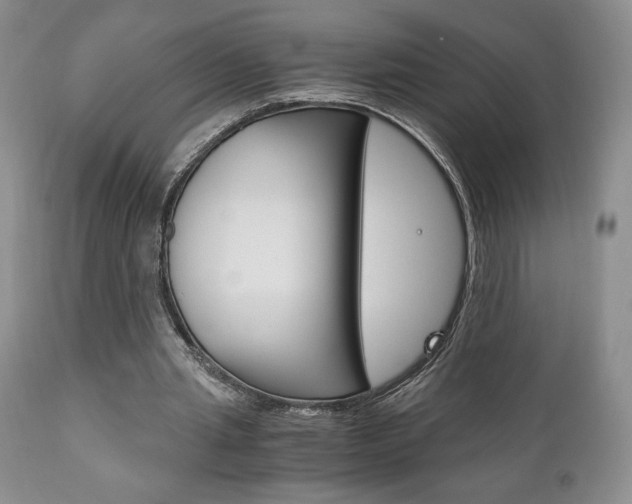 X0000111120437200906301045