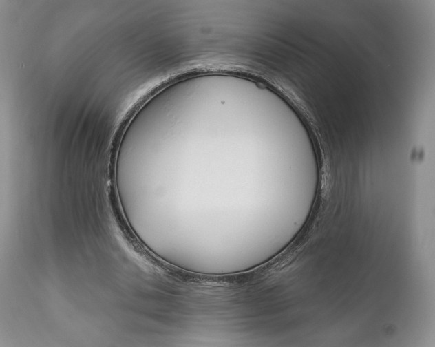 X0000111120438200906301045