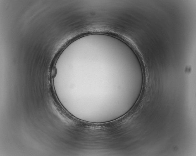X0000111120439200906301045