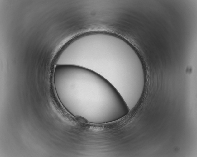 X0000111120440200906301045