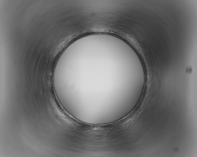 X0000111120441200906301045