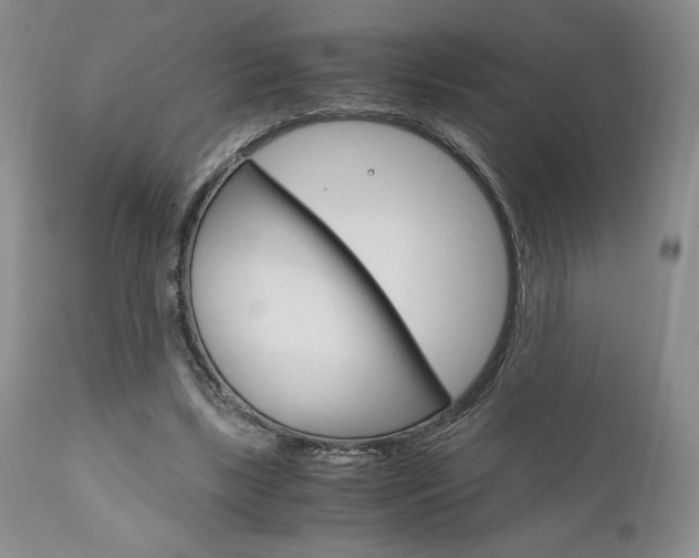 X0000111120443200906301045
