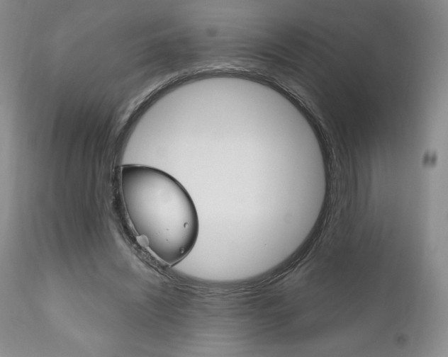 X0000111120444200906301045
