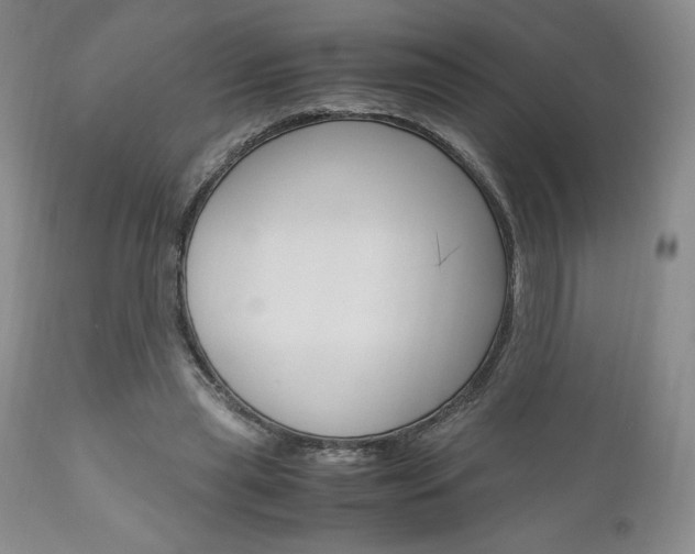 X0000111120445200906301045