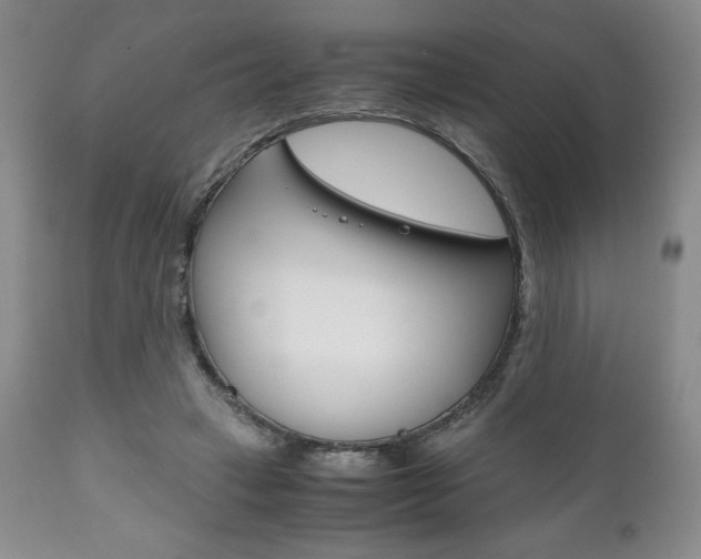 X0000111120449200906301045
