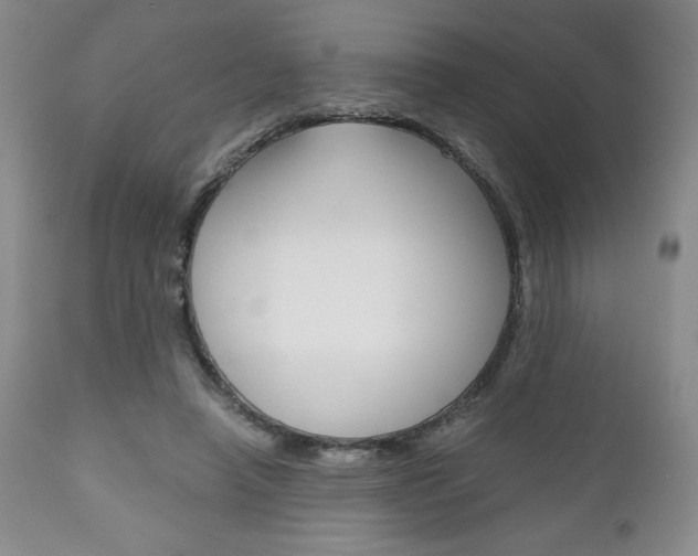 X0000111120450200906301045