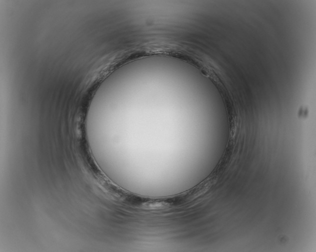 X0000111120452200906301045