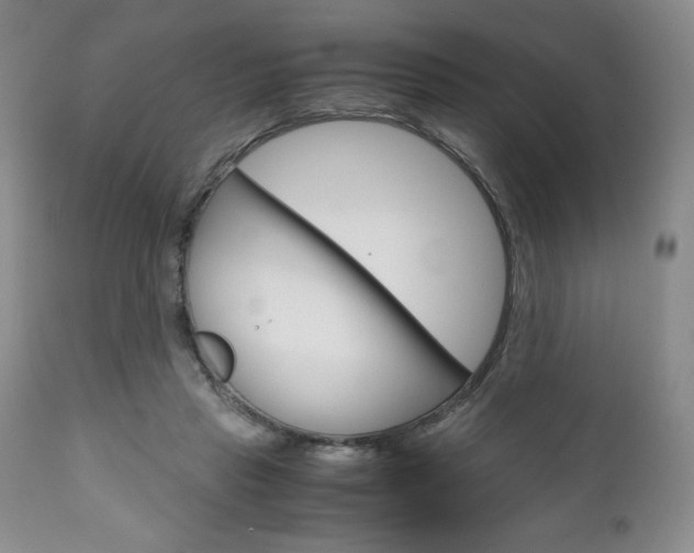 X0000111120453200906301045