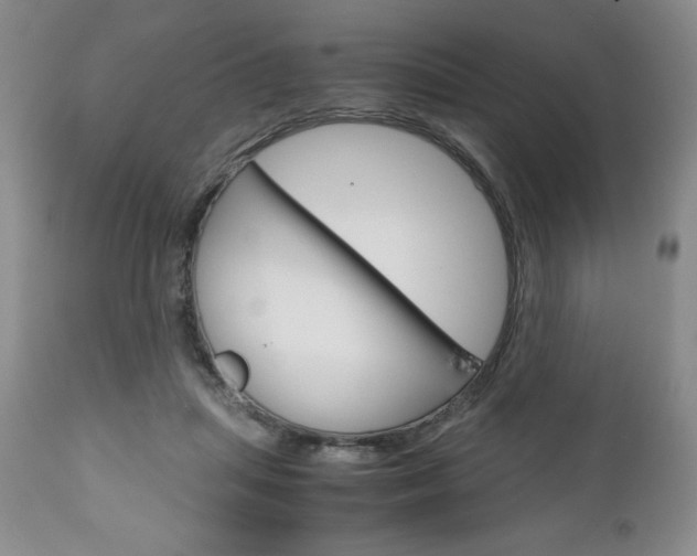 X0000111120455200906301045