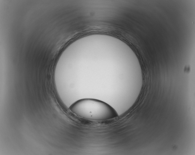 X0000111120456200906301045