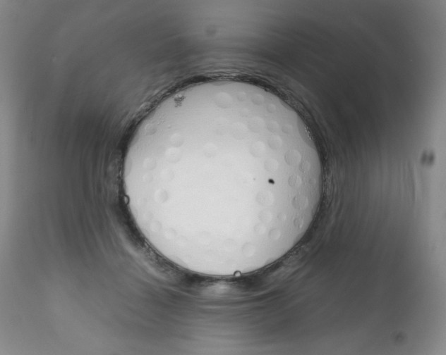 X0000111120460200906301045