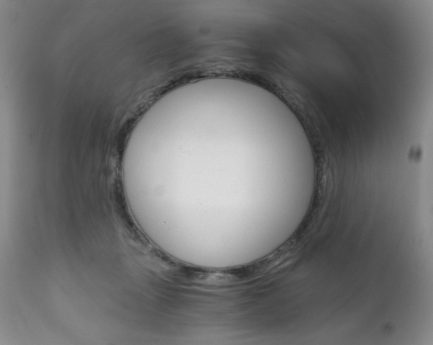 X0000111120463200906301045