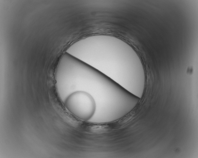 X0000111120465200906301045