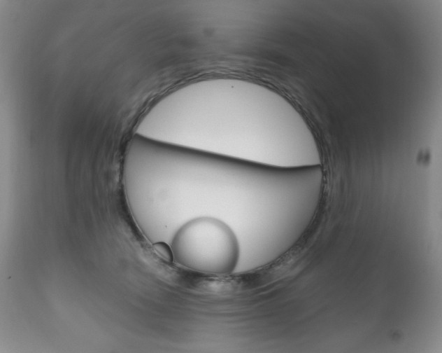 X0000111120466200906301045