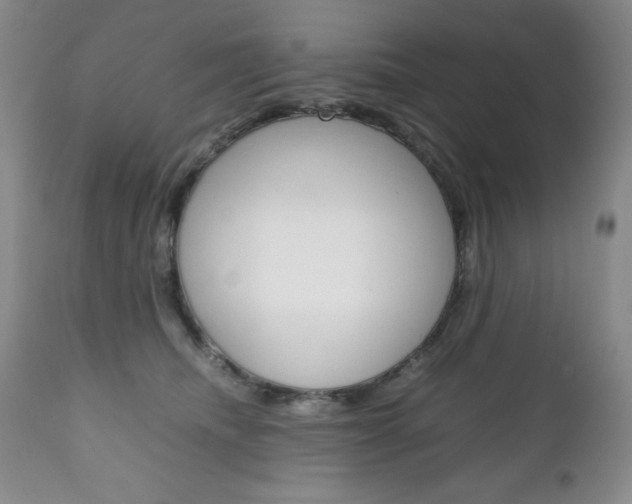 X0000111120468200906301045