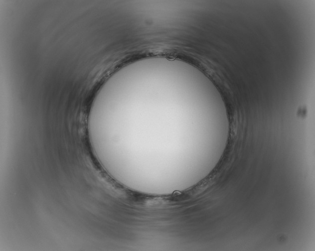 X0000111120470200906301045