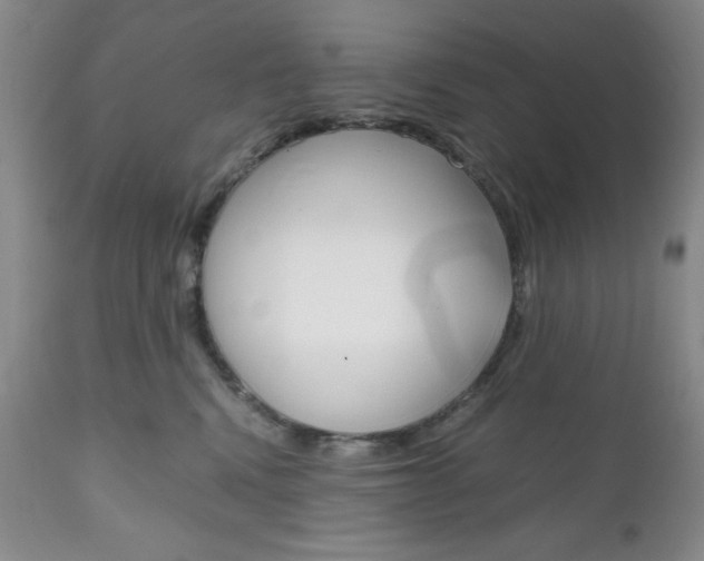 X0000111120472200906301045