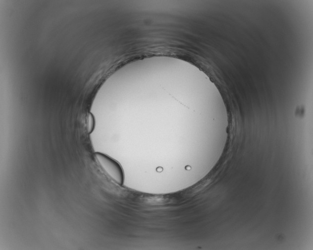 X0000111120473200906301045