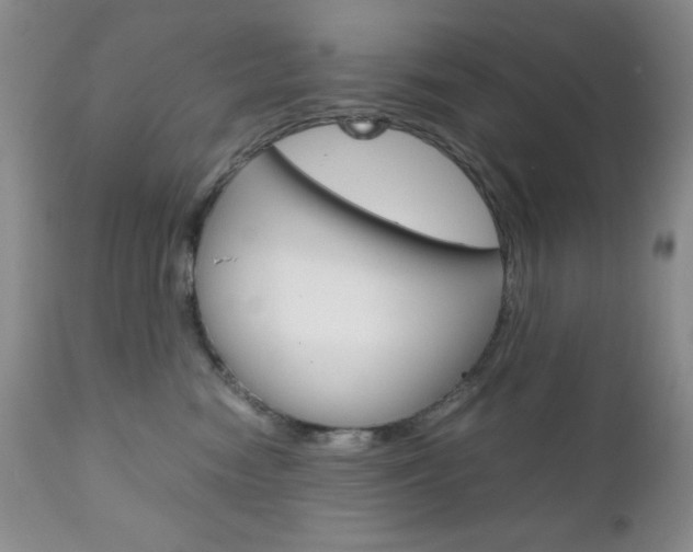 X0000111120474200906301045