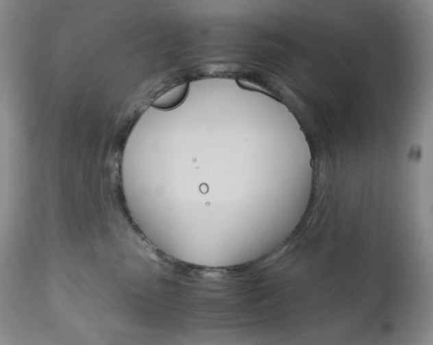 X0000111120475200906301045