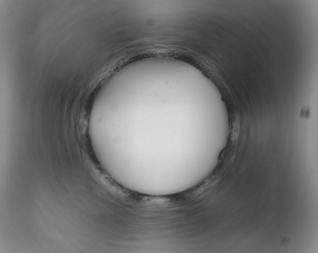 X0000111120476200906301045
