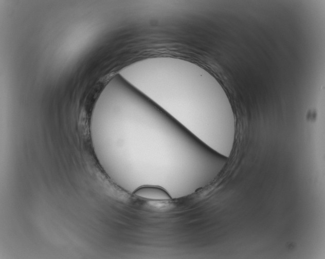 X0000111120477200906301045