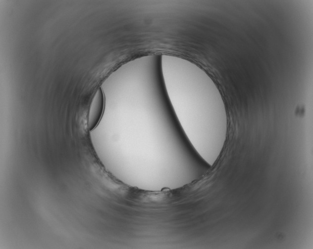 X0000111120479200906301045